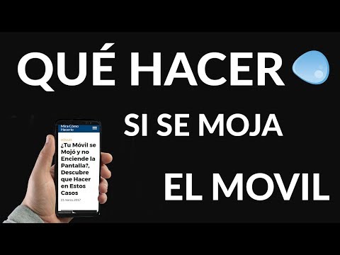 ¿Tu Móvil se Mojó y no Enciende la Pantalla?, Descubre que Hacer en Estos Casos