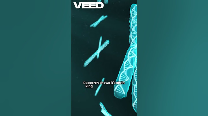 Y-Chromosome Crisis Explained – Is Male Genetics Disappearing?