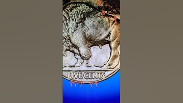Thumbnail of BUFFALO NICKEL WORTH BIG MONEY!