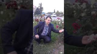 Ahmet Barlak Halimiz Nola Mahşerde