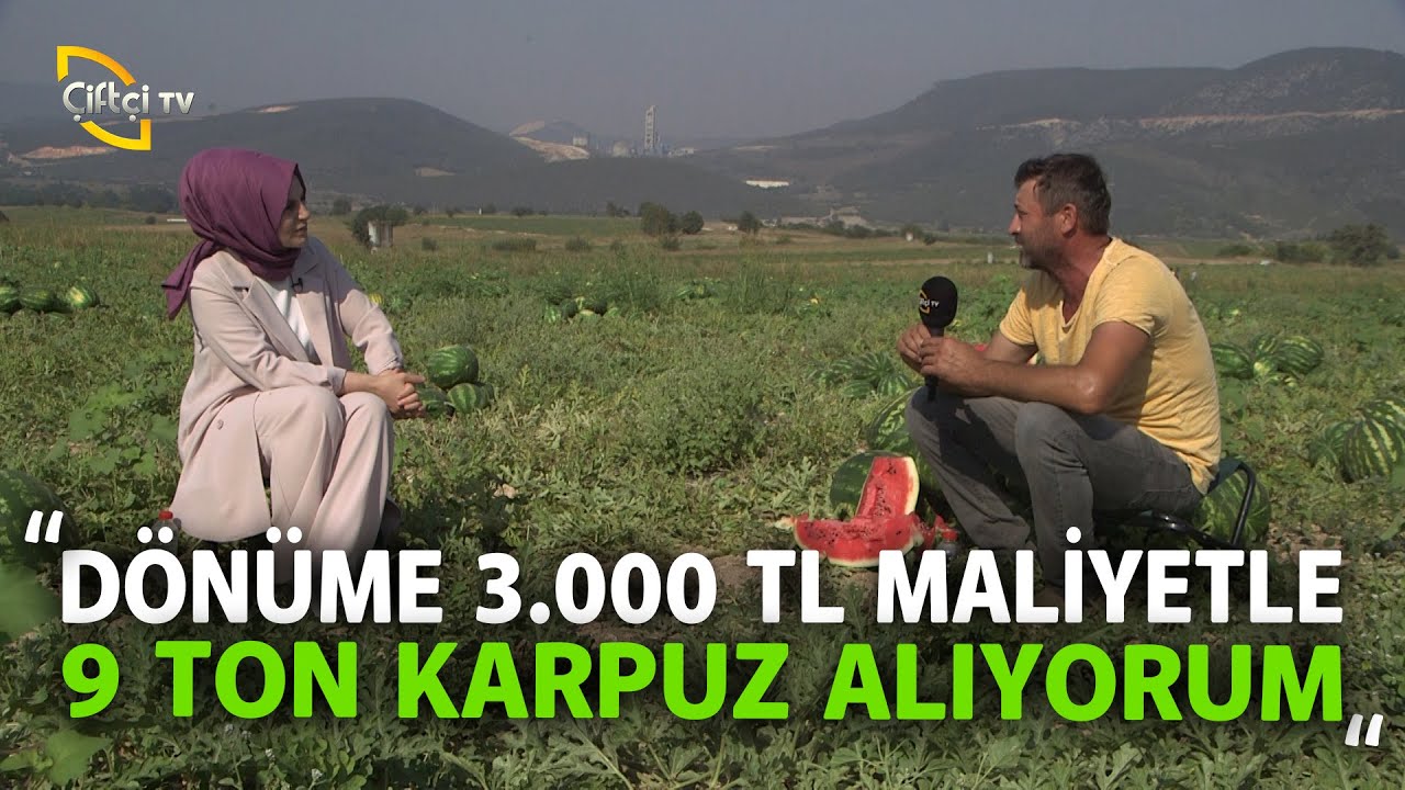 Dönüme 3.000 TL Maliyetle, 9 TON KARPUZ Alıyorum - Toprak Bacı