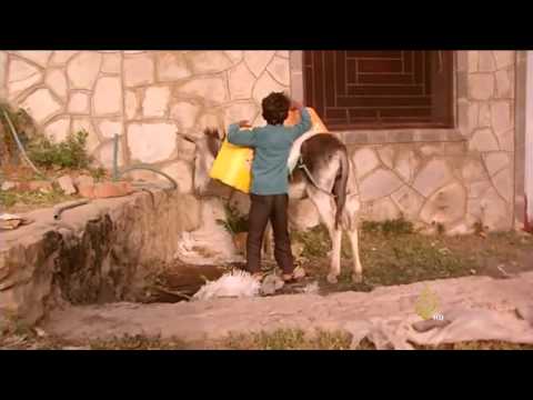 مأساة وواقع مرير لأطفال اليمن