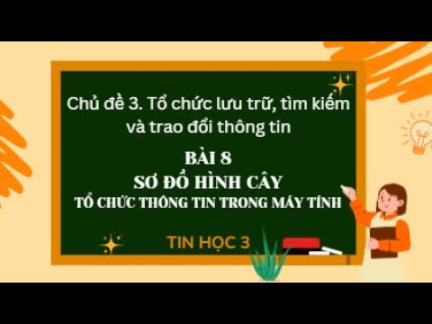 Bài 8 Sơ đồ hình cây. Tổ chức thông tin trong máy tính - Tin học 3 - Kết nối tri thức - youtube