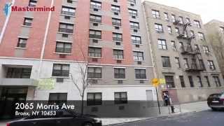 Bronx Commercial Space Morris Ave