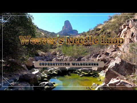 WEAVER'S NEEDLE LOOP
