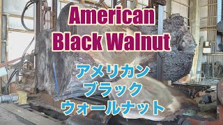 AMERICAN BLACKWALNUT３ブラックウォールナットの製材！！