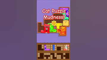 Cat Puzzles, Funny Cats, I am Cat Challenge #shorts #catpuzzle #funnycats #100k