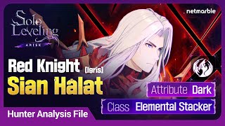 solo Levelingarise Hunter Analysis File 34 Sian Halat