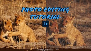 Wildlife Photography - Editing Tutorial Using Lightroom 5 screenshot 2