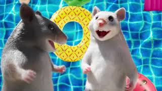 Dedoles Song Reklama Na Plazi