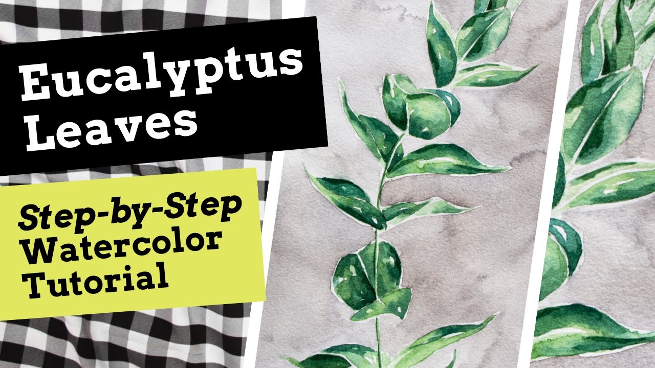 How I Paint Eucalyptus Leaves With Watercolor YouTube