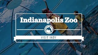 Indianapolis Zoo