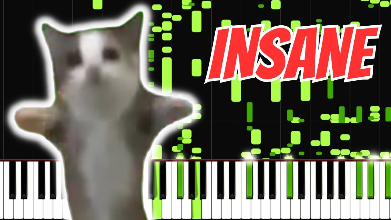 Happy Happy Happy Cat Song Meme Insane Piano Tutorial Expert Youtube 
