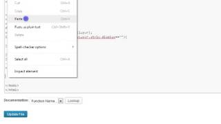 Adding JavaScript to WordPress
