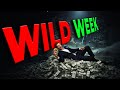 Sunday Bitcoin Update: Bitcoin Setting Up For A Wild Week! Don’t Miss This Move