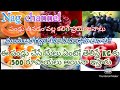 Uses of fruits in Telugu|Best health tips | ఏపండ్లను తింటే ఎలాంటి ప్రయోజనాలు కలుగుతాయి?| Nag channel