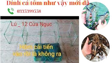 12 Cửa ngục Hôm cải tiến khung  23 x 37 lưới thái lan, một khi đặt là hốt bạc