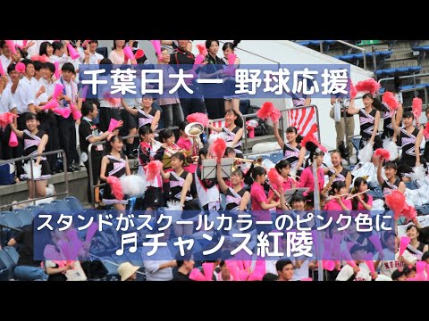千葉日大一 高校野球応援「チャンス紅陵」スタンドはスクールカラーのピンク色に染まる（千葉県高校野球応援2019）