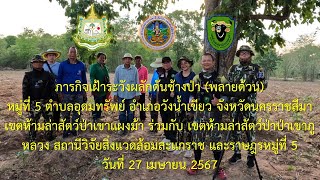 27 เมษายน 2567 ผลักดันช้างป่า (พลายด้วน) หมู่ที่ 5 ตำบลอุดมทรัพย์ อำเภอวังน้ำเขียว จังหวัดนครราชสีมา