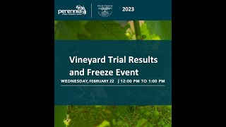 Virtual Discussion: Vineyard Trial Results and Freeze Event