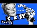 Curley (1947) HAL ROACH COMEDY