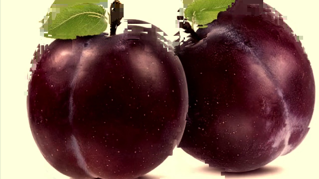Plum Daily (Day 413)