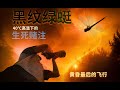 居然有和人一样"一热就挂"的稀有蜻蜓?每天只活动20分钟!蜻蜓如何度过极端高温?| 积分昆虫学