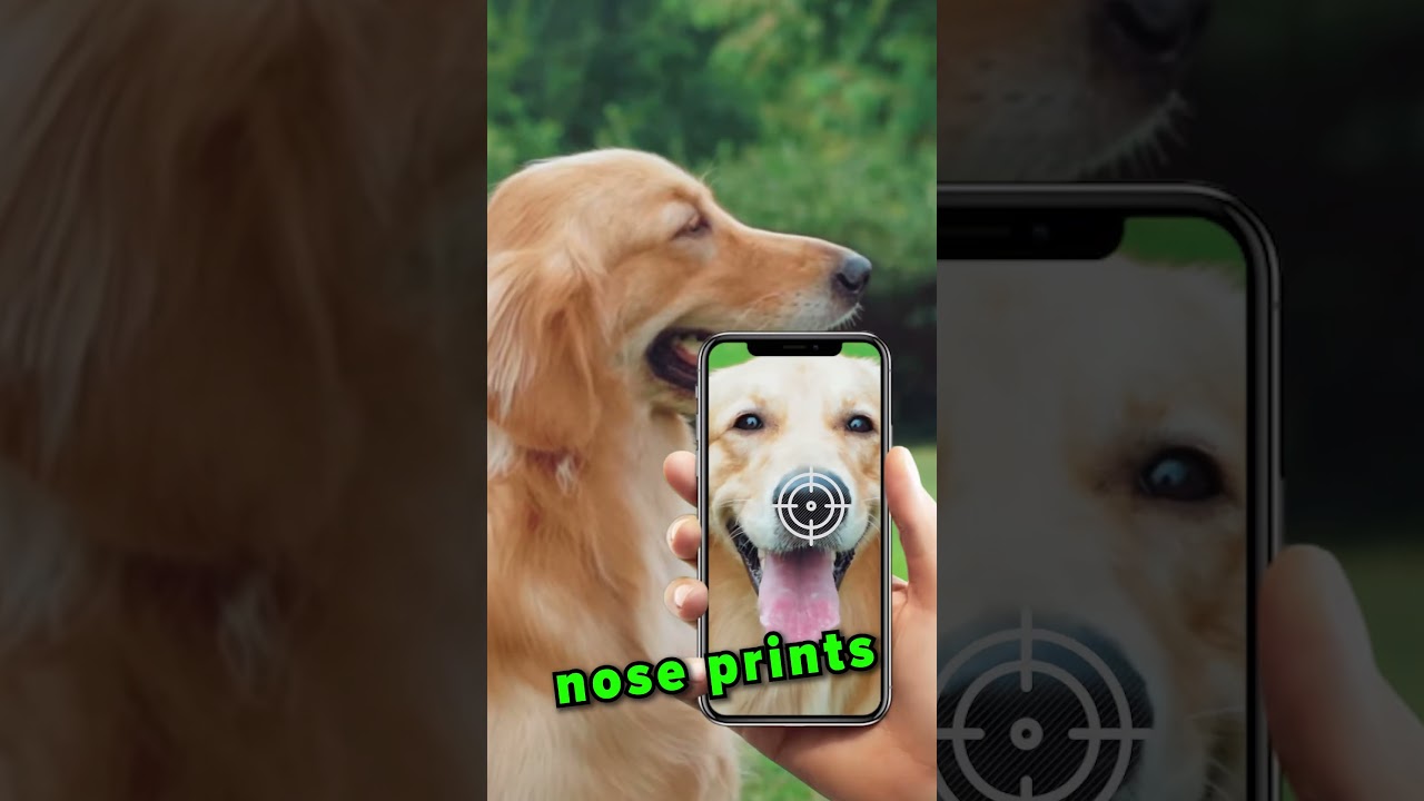 Unique Nose Prints