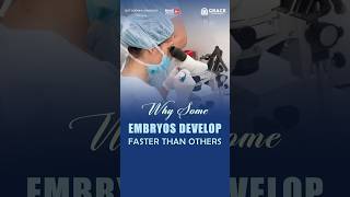 Why Do Some Embryos Develop Faster Than Others? | Embryology Explained