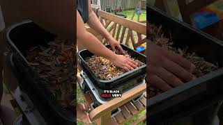 Adding another tray to my worm composting bin #garden #gardentok