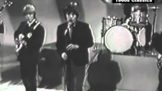 The Rolling Stones - Heart of Stone (Shindig - Jan 20, 1965)