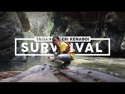 SURVIVAL DI HUTAN SAMBIL UJI NYALI DI SUNGAI JERAM BERUNGUT (TAMAN NEGER...