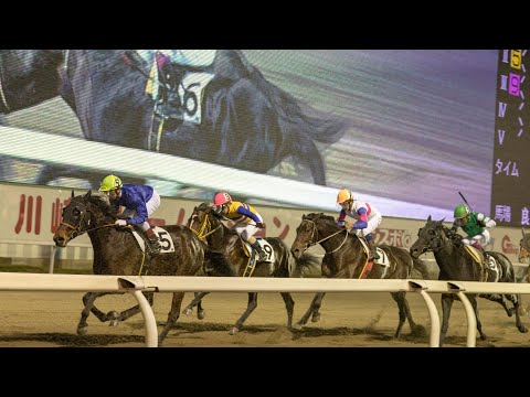 第38回 かしわ記念 一緒に見よう【競馬】