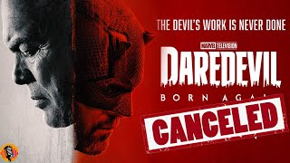 BREAKING Daredevil Born Again CANCELED says Series Star Charlie Cox