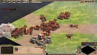 Age of Empires II: Definitive Edition - One Young Jadwiga Vs Daruis
