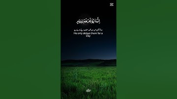 آية قصيرة للخشوع وراحة #quran #اكسبلور #المصحف #تلاوة #دويتو #fatiha #قرآن #راحة_نفسية #الرحمن #خشوع