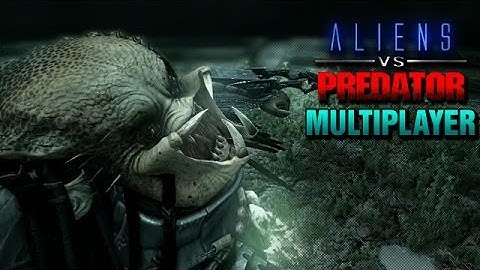 AVP Multiplayer: Gateway