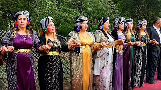 Ulu Dere - Uzun Geçit Kürt Düğünleri 💃🕺 Kurdish Wedding 2026 Stranên Kurdî