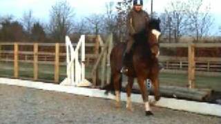 video of Charles flatwork by markirwing
