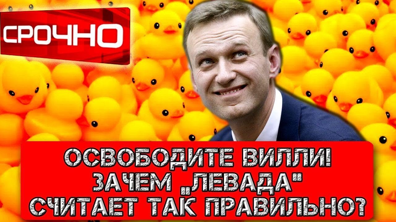 Срочно, освободите Вилли! Зачем «Левада» считает так правильно? - YouTube