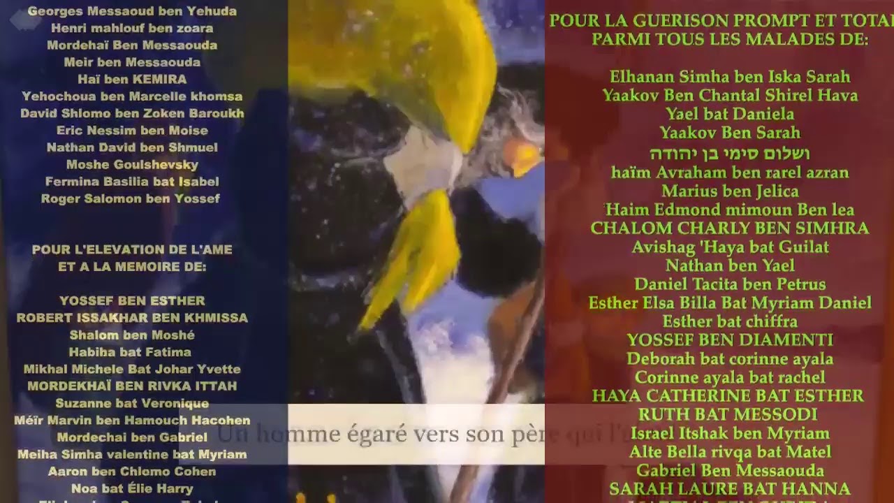 Les Contes de Rabbi Nahman: "La Princesse disparue" cours n°43 (02/08/20)