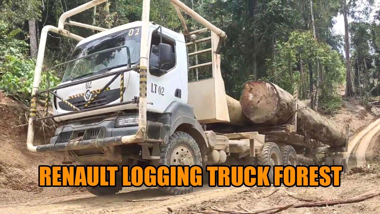 RENAULT LOGGING TRUCK KERAK 440 DXI | Timber Trucks Forest - YouTube
