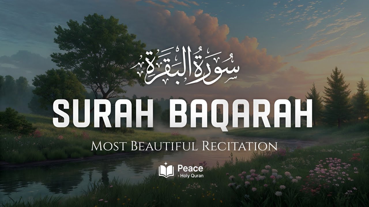 Surah Al-Baqarah (سورة البقرة) | Full Quran Recitation | Healing, Barakah & Peace | Peace Holy Quran