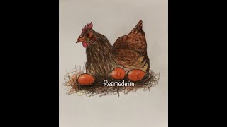 TAVUK RESMİ,Adım adım ÇİZİMLER,KARAKALEM ÇİZİMLER,KOLAY ÇİZİM,KOLAY BOYAMA,CHICKEN . TAVUK RESMİ,Adım adım ÇİZİMLER,KARAKALEM ÇİZİMLER,KOLAY ÇİZİM,KOLAY BOYAMA,CHICKEN .