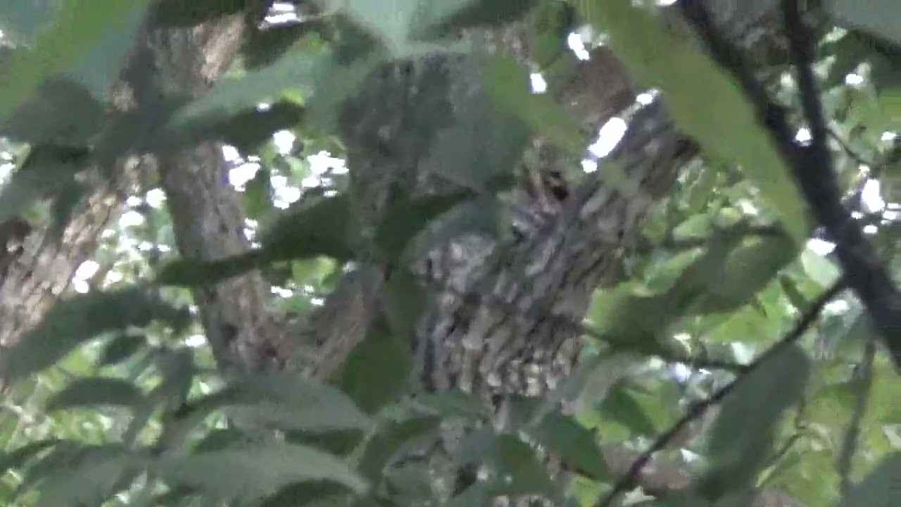 Haunted Tunnel..PT2. Crash Site / RESCUE PT3 EVENING ROLLS AROUND OMG!! read more: