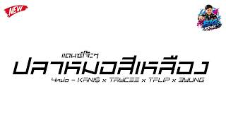 #มาแรงในTikTok ปลาหมอสีเหลือง ( 4หน่อ - KANI$ x TAYCEE x TFLIP x 3YUNG ) - DJ BIG REMIX
