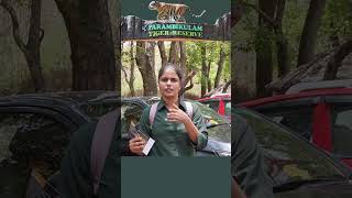 വെറും 250/-#layanaramesh #campergirlfromkerala #travel #parambikulam