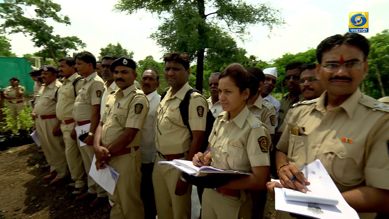 Jalana Forest Series 05.12.2018