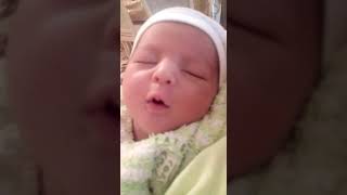1 Ay Eli