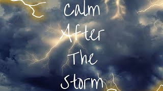 Calm After The Storm (Official Visualizer)